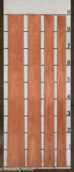 SAPELE_25027-1B_2.jpg