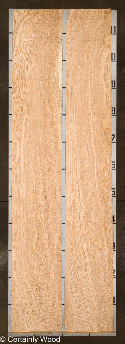 TAMO_25117-1B_2.jpg TAMO_25117-1B_2.jpg