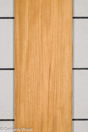 TEAK 24257-1A