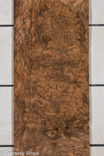 WAL_BURL_25008-1E_1.jpg