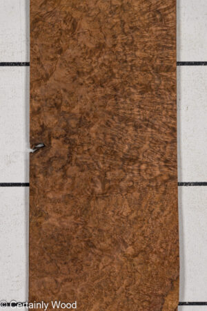 WAL BURL 25009-1A