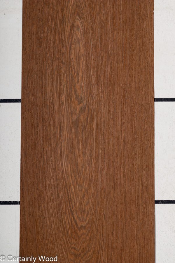 WENGE_23404-2A_1.jpg