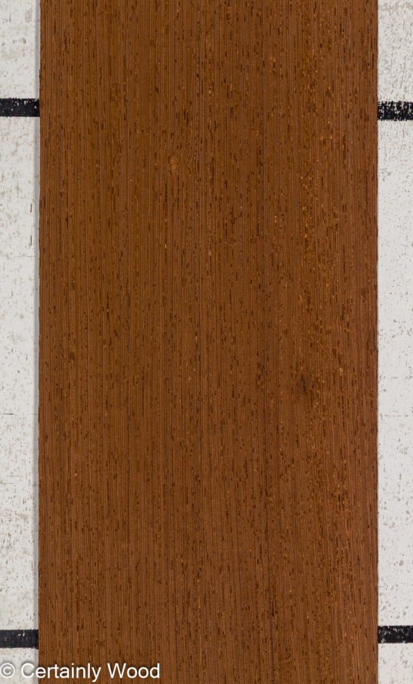 WENGE_25215-2_1.jpg
