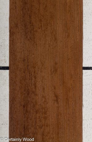 WENGE 25216-2