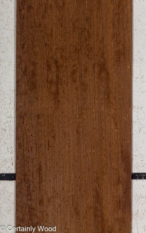 WENGE 25216-3