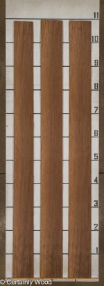 WENGE_25282-1_2