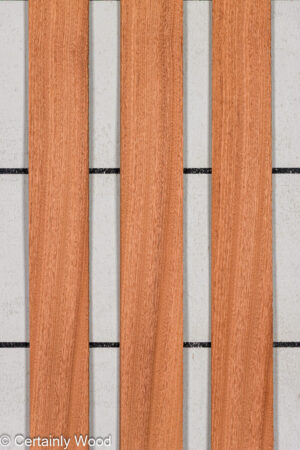 WS 1/16 SAPELE 25209-8