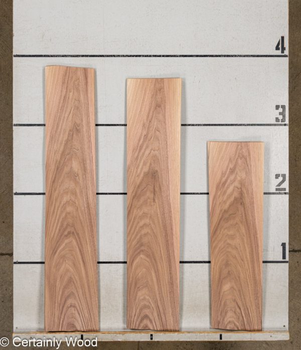 WS_16_WALNUT_24341-2C_2.jpg WS_16_WALNUT_24341-2C_2.jpg