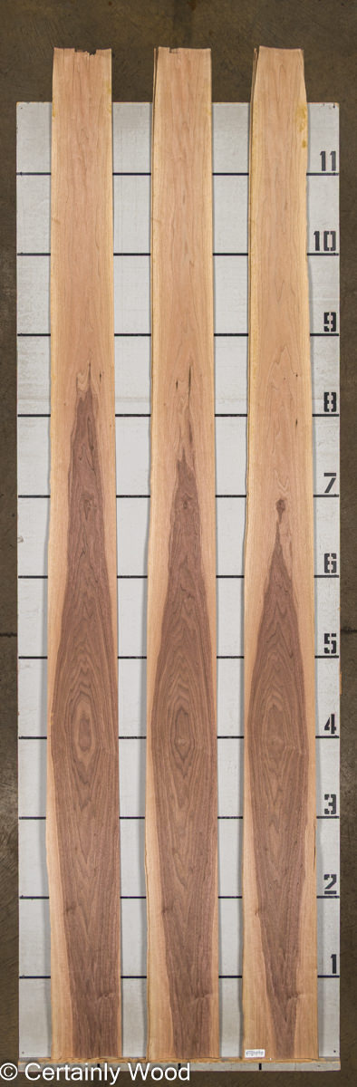 WS_16_WALNUT_25221-2D_2.jpg WS_16_WALNUT_25221-2D_2.jpg