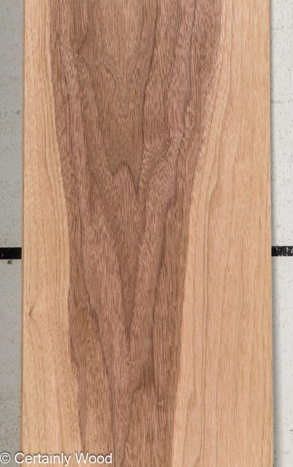 WS_16_WALNUT_25221-2E_1.jpg WS_16_WALNUT_25221-2E_1.jpg