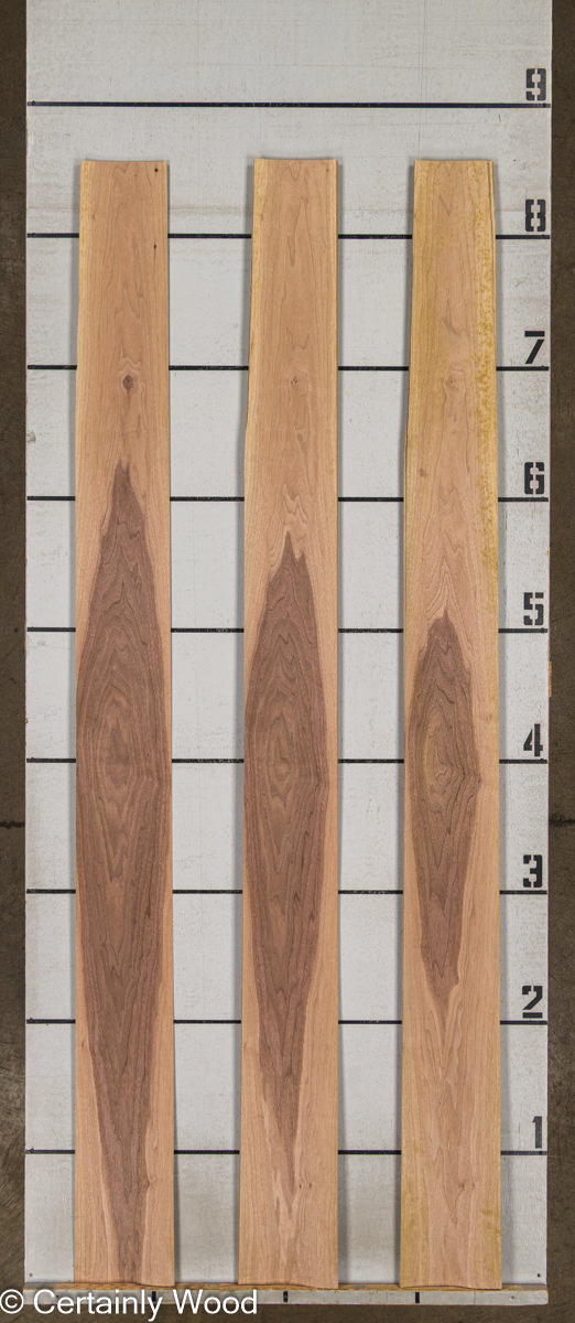 WS_16_WALNUT_25221-2E_2.jpg WS_16_WALNUT_25221-2E_2.jpg