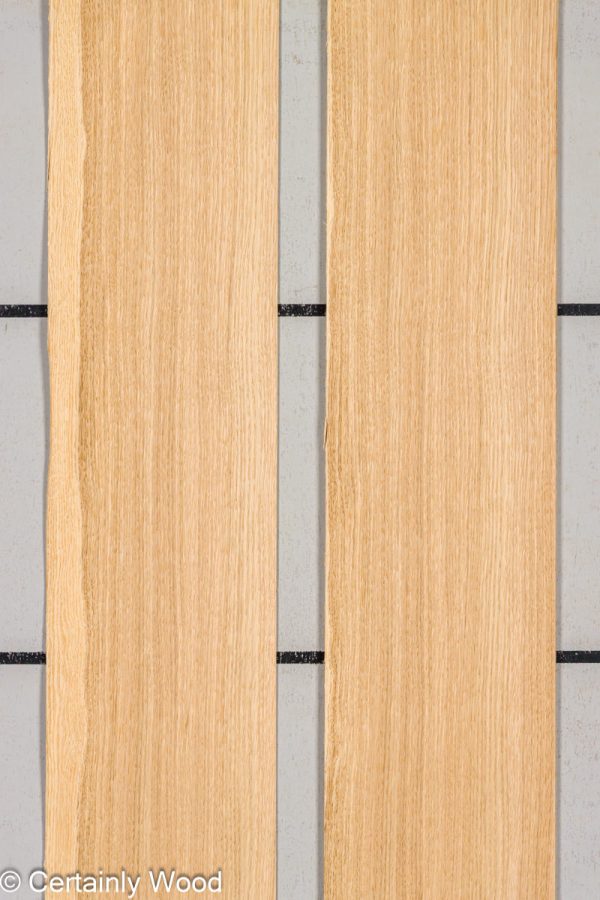 WS_18_RF_OAK_25304-2C_1