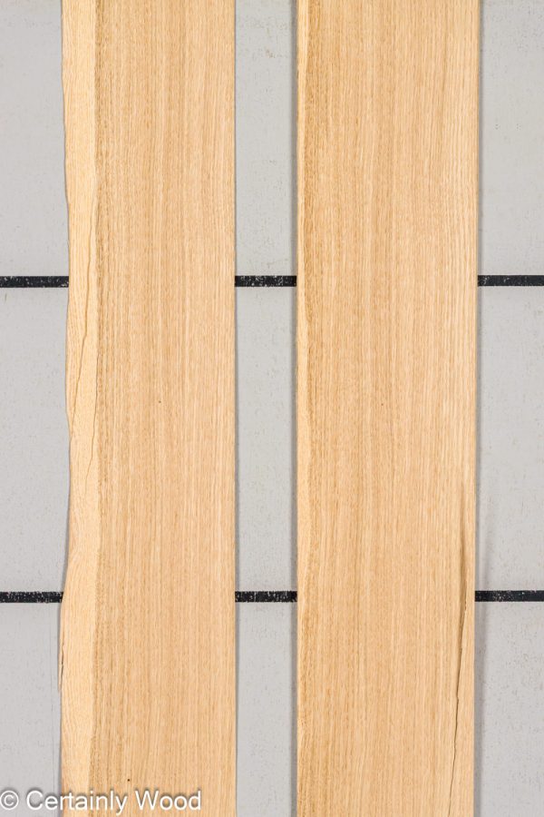 WS_18_RF_OAK_25304-2D_1