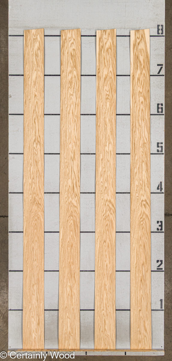 WS_18_W_OAK_25122-2C_2.jpg WS_18_W_OAK_25122-2C_2.jpg