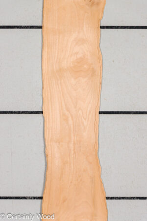 WS 1/24 ALDER 23473-1