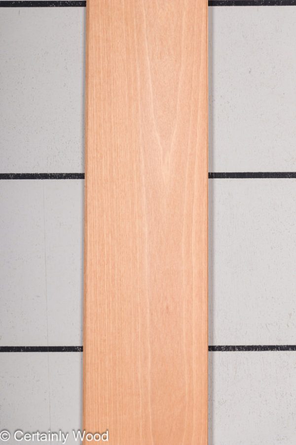 WS_ANIGRE_23153-4D_1.jpg WS_ANIGRE_23153-4D_1.jpg