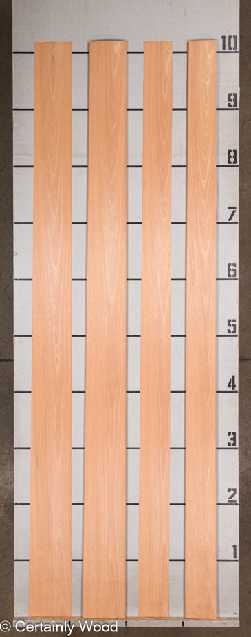 WS_ANIGRE_23153-4D_2.jpg WS_ANIGRE_23153-4D_2.jpg