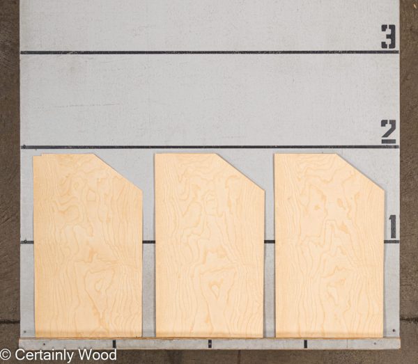 WS_ASH_BURL_22352-13_2.jpg WS_ASH_BURL_22352-13_2.jpg