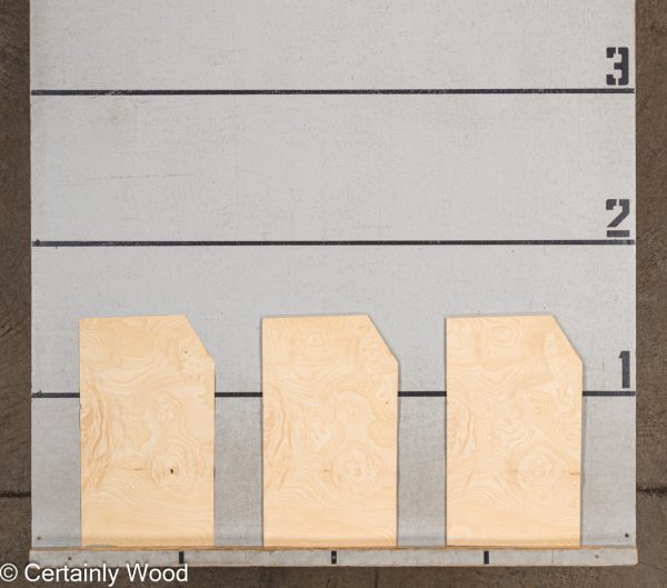 WS_ASH_BURL_22352-19_2.jpg WS_ASH_BURL_22352-19_2.jpg