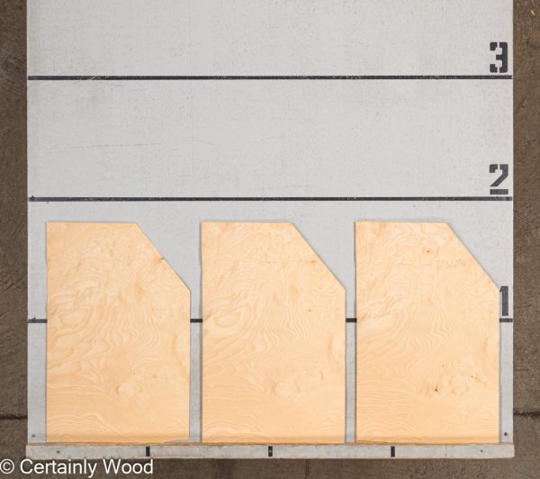 WS_ASH_BURL_22352-22_2.jpg WS_ASH_BURL_22352-22_2.jpg