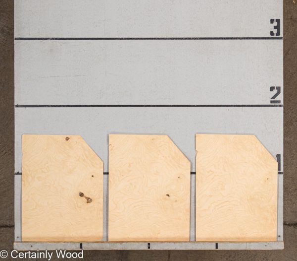 WS_ASH_BURL_22352-23_2.jpg WS_ASH_BURL_22352-23_2.jpg