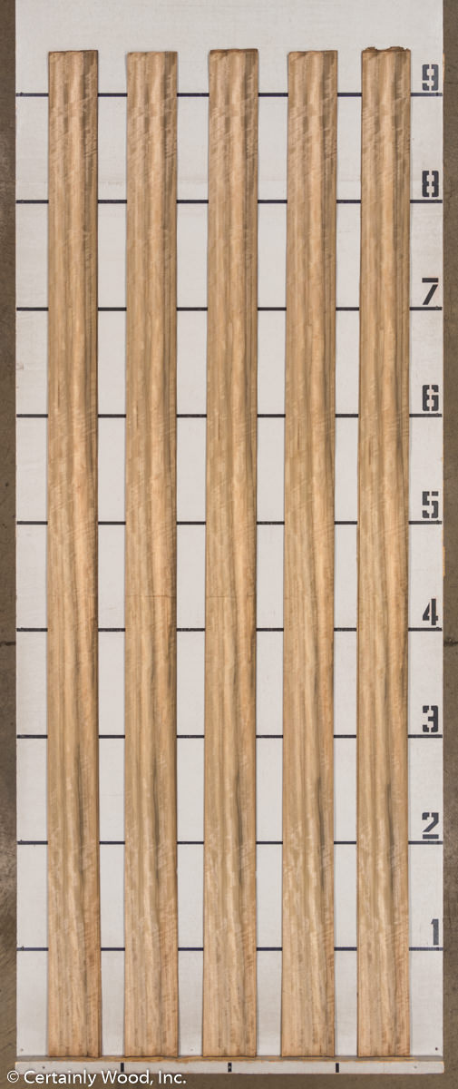 WS_AUS_WAL_21245-18_2.jpg WS_AUS_WAL_21245-18_2.jpg