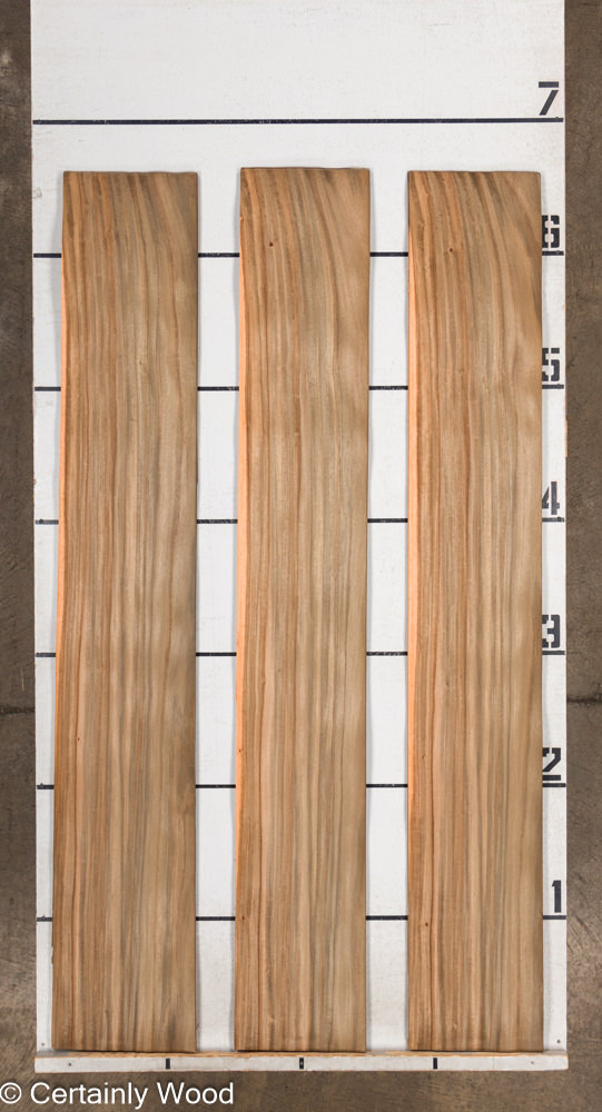 WS_AUS_WAL_24031_2.jpg WS_AUS_WAL_24031_2.jpg