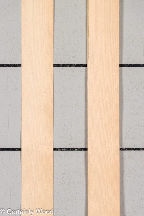 WS_BEECH_23006_1.jpg WS_BEECH_23006_1.jpg