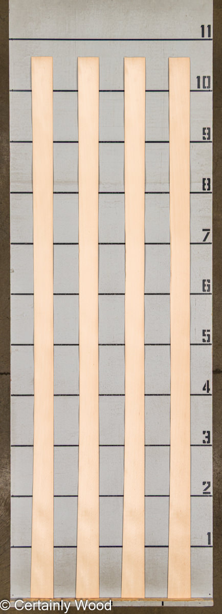 WS_BEECH_23006_2.jpg WS_BEECH_23006_2.jpg