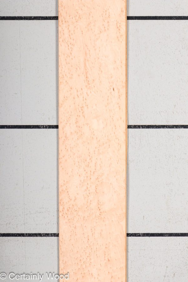 WS_BE_MAPLE_1203-13_1.jpg WS_BE_MAPLE_1203-13_1.jpg