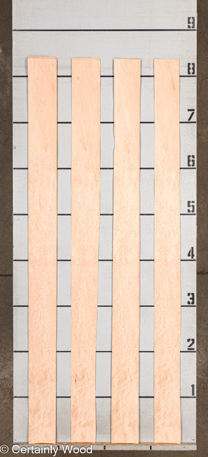 WS_BE_MAPLE_1203-13_2.jpg WS_BE_MAPLE_1203-13_2.jpg