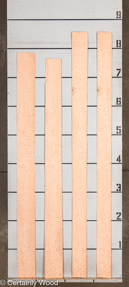 WS_BE_MAPLE_1203-15_2.jpg WS_BE_MAPLE_1203-15_2.jpg