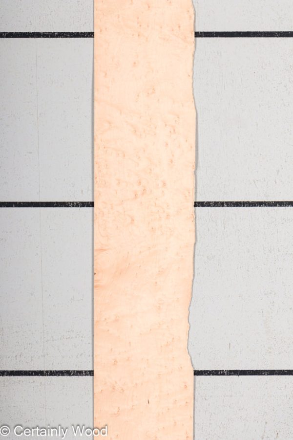 WS_BE_MAPLE_1203-16_1.jpg WS_BE_MAPLE_1203-16_1.jpg