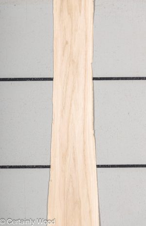 WS BUTTERNUT 19359-5