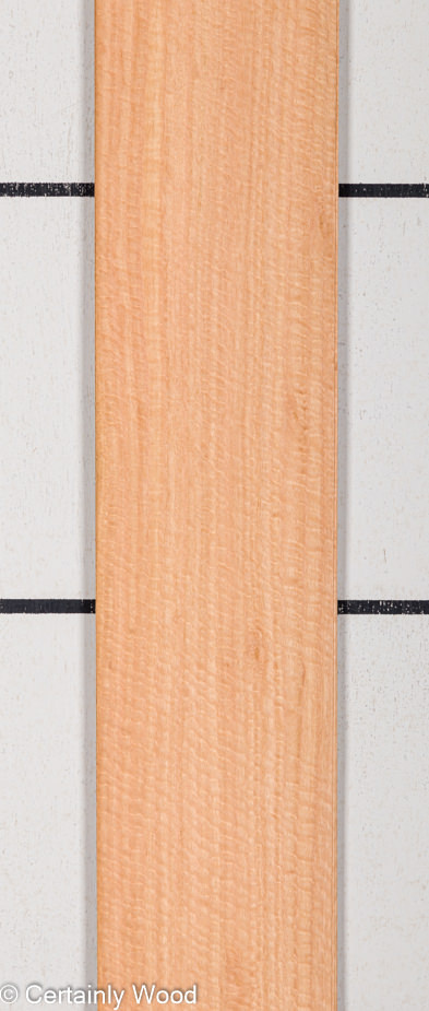 WS_BW_EUC_19246-1_1.jpg WS_BW_EUC_19246-1_1.jpg