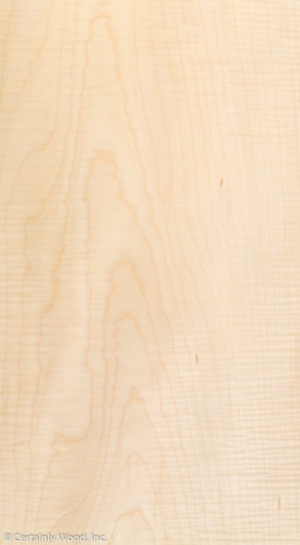 WS_C_SYC_1302-8_01.jpg WS_C_SYC_1302-8_01.jpg