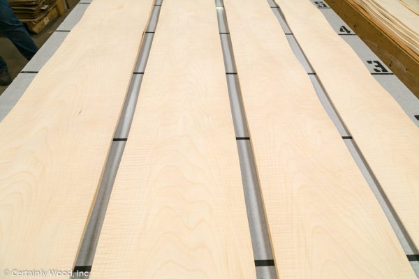 WS_C_SYC_1302-8_02.jpg WS_C_SYC_1302-8_02.jpg