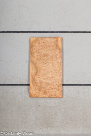 WS ELM BURL 19281-41