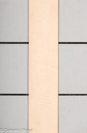 WS FB ANIGRE 23488-2