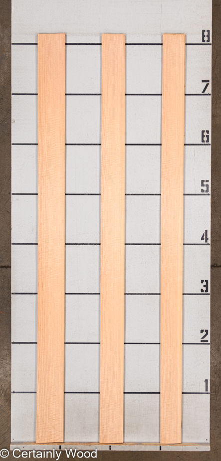 WS_FB_ANIGRE_801-1B_2.jpg WS_FB_ANIGRE_801-1B_2.jpg