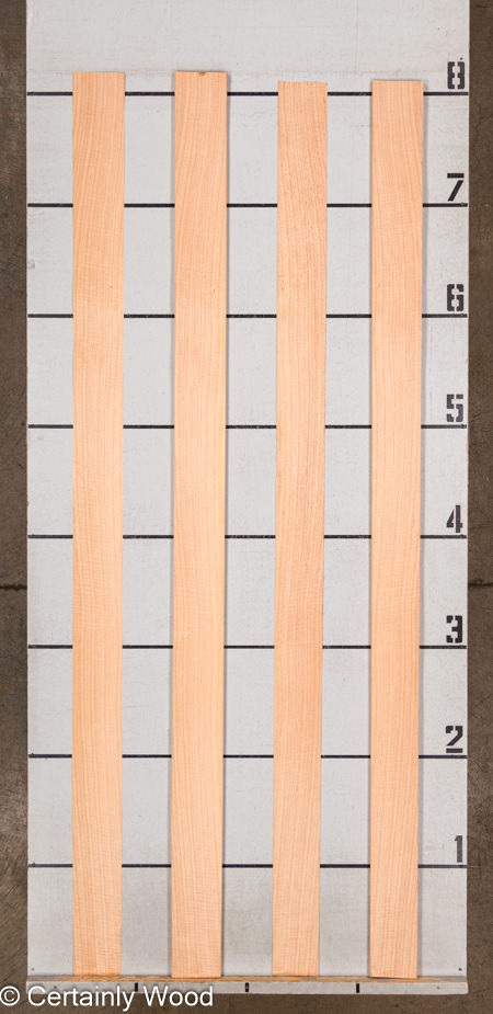 WS_FB_ANIGRE_801-4B_2.jpg WS_FB_ANIGRE_801-4B_2.jpg