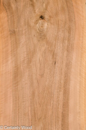 WS FR WALNUT 24346-5