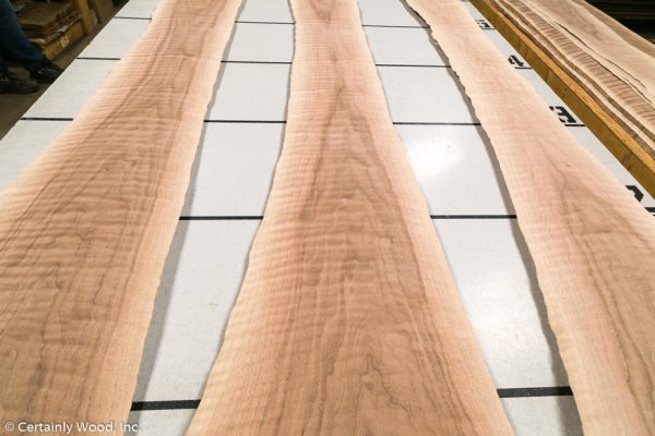 WS_F_WALNUT_21018-3_02.jpg WS_F_WALNUT_21018-3_02.jpg