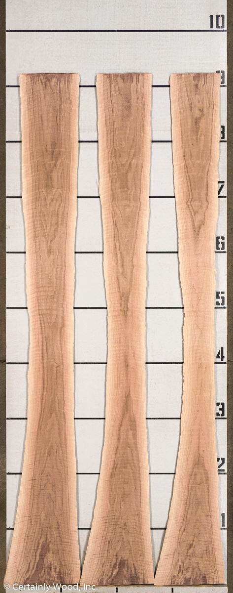 WS_F_WALNUT_21018-3_03.jpg WS_F_WALNUT_21018-3_03.jpg