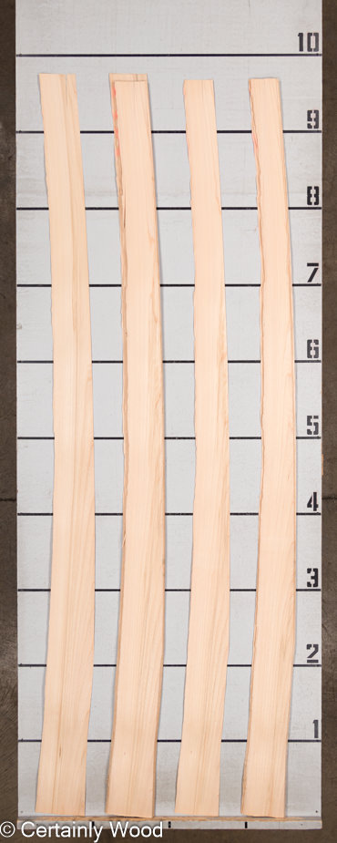 WS_G_ELM_1701-2_2.jpg WS_G_ELM_1701-2_2.jpg