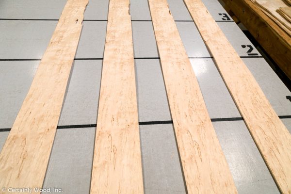 WS_KARELIAN_1102-7_02.jpg WS_KARELIAN_1102-7_02.jpg