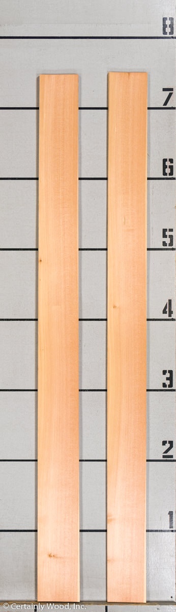 WS_LARCH_19240-6_03.jpg WS_LARCH_19240-6_03.jpg