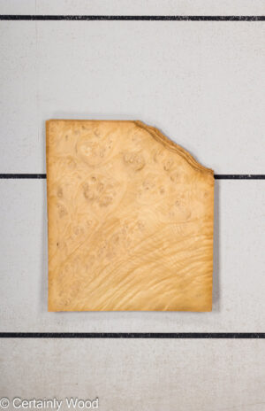 WS LAUREL BRL 23392-5