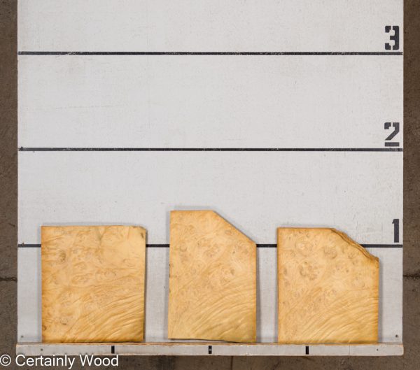 WS_LAUREL_BRL_23392-5_2.jpg WS_LAUREL_BRL_23392-5_2.jpg