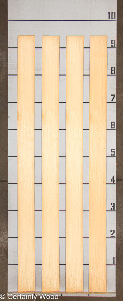 WS_LIMBA_24042-1_2.jpg WS_LIMBA_24042-1_2.jpg